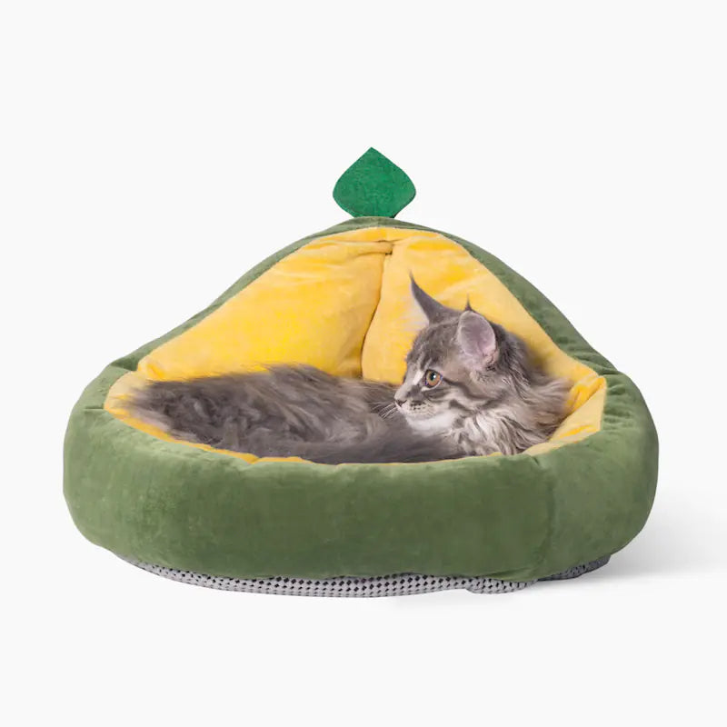 Pampered avocado lounger